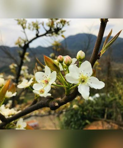 桐庐大市新闻头条，桐庐最近新闻