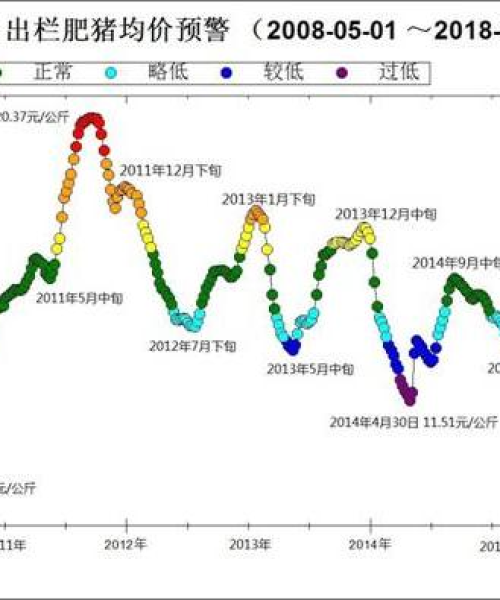 今日毛猪收购视频播放最新，毛猪今日价格