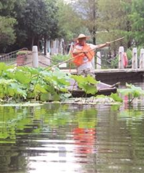 路桥新闻头条热线，路桥区新闻信息中心