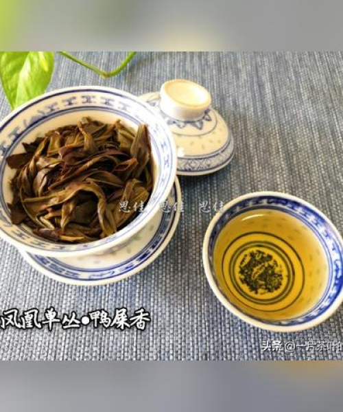 今日单丛最新分析，单丛属于什么茶系列