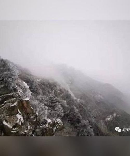 临沂今日雪景最新消息，临沂今日天气预报详情2345风向