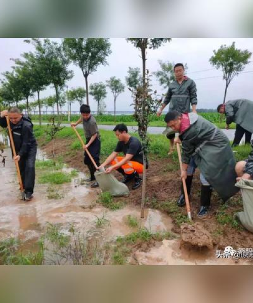 原阳最新大雨信息查询结果，原阳11.15