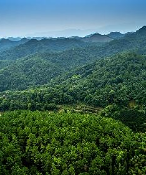 今曰头条江西新闻，今日头条江西最新消息