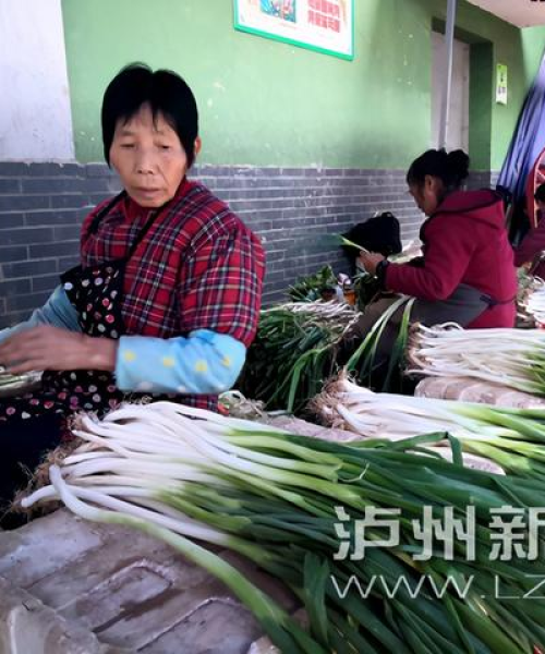 毛葱今日最新价格，毛葱现在多少钱一斤